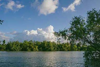 ?夢幻西游新手必看！超全攻略助你快速上手??