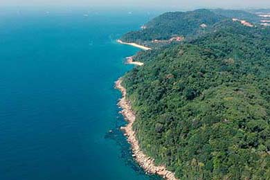 私服網搜索攻略，從入門到避坑的全方位指南