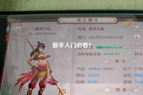 新手入門必看！