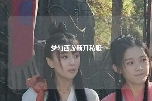 夢幻西游新開私服
